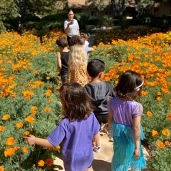 Anne Sullivan Preschool & Transitional Kindergarten