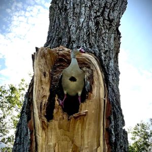 MISSION DEL LAGO GOLF COURSE Updated April 2025 24 Photos 24