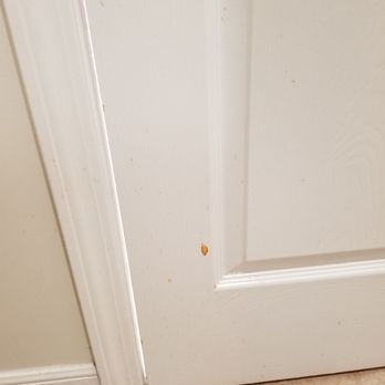 Palm Beach Tan - Stain - Skin Care Near Me - Austin, Texas