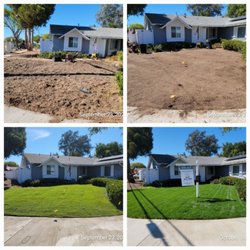Tinh's Lawn Care and irrigation - Tall fescue