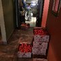 Photo of El Pedregal Resturant