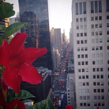 Pen Top - 5th ave view from Salon de Ning - Lounges Near Me - New York, New York Pen Top - 5th ave view from Salon de Ning - Lounges Near Me - New York, New York