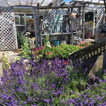 Jardin Du Soleil Lavender - Gardening shed - Venues & Event Spaces Near Me - Sequim, Washington