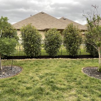 God’s Plan Lawn Services - two trees planted in the front yard - Lawn Services Near Me God’s Plan Lawn Services - two trees planted in the front yard - Lawn Services Near Me