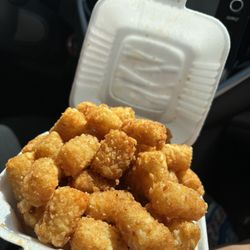 The Burger Wagon - Tots!