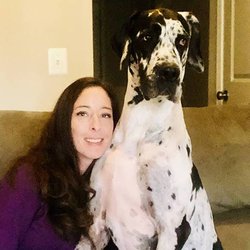 Wag Ur Tail Dog Training - Our Woodbridge trainer Lynde