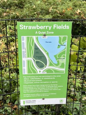 Strawberry Fields by null