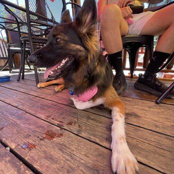 Moonridge Coffee Company  - Dog friendly - Coffee & Tea Near Me - Big Bear Lake, California