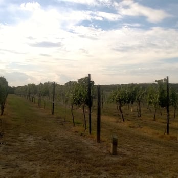 Westcave Cellars Winery & Brewery - Wineries Near Me - Johnson City, Texas Westcave Cellars Winery & Brewery - Wineries Near Me - Johnson City, Texas