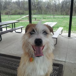 Dog Park, Rock Springs Park - It's not raining yet... come play before the storm!