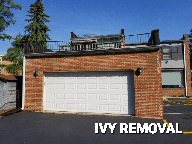 Slide of High Street Services