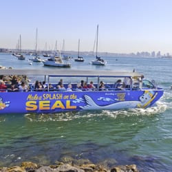San Diego Seal Tour