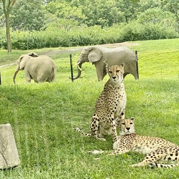 Indianapolis Zoo - Zoos Near Me - Indianapolis, Indiana Indianapolis Zoo - Zoos Near Me - Indianapolis, Indiana