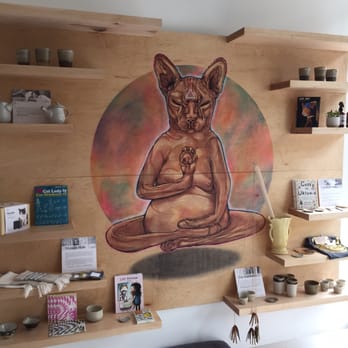 KitTea - Pet Adoption Near Me - San Francisco, California