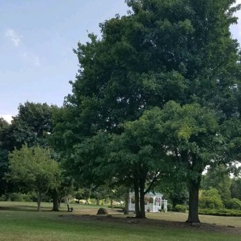 Ellicott Creek Park - Tree story - Parks Near Me - Tonawanda, New York Ellicott Creek Park - Tree story - Parks Near Me - Tonawanda, New York