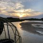 Photo of Woody's Airboat Tours