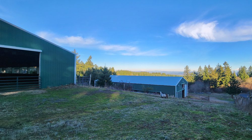 Kaya Mead Horsemanship - equestrian in Hillsboro, OR