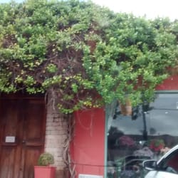 Romã Decoração de Interiores
