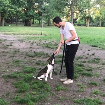 Urban K-9 - Working on our recall. Dani had her obeying "sit", "stay", and "come" within (literally) minutes! - Pet Training Near Me
