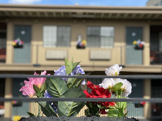 Photo of Westwind Lodge - Oakland, CA, US. Spring time at the Westwind Lodge.