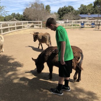 Seein' Spots Farm - Animal Shelters Near Me - Solvang, California Seein' Spots Farm - Animal Shelters Near Me - Solvang, California