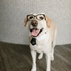 Ranch Road Vision Source