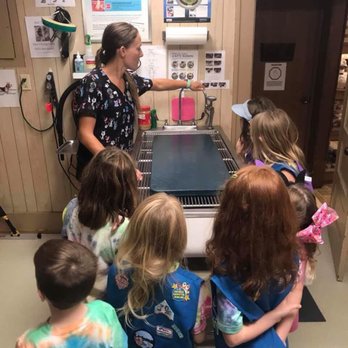 Wright City Veterinary Clinic - Teaching our local Girl Scout troop about Veterinary medicine! - Veterinarians Near Me - Wright City, Missouri Wright City Veterinary Clinic - Teaching our local Girl Scout troop about Veterinary medicine! - Veterinarians Near Me - Wright City, Missouri