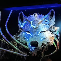 Casa De Lobo