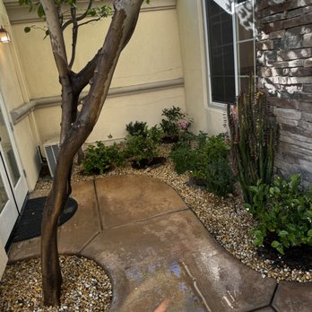 Moon Valley Nurseries - Nurseries & Gardening Near Me - Coachella, California