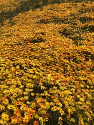 Heart Rock Trail by null