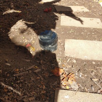 Whitmore Plumbing - Located 4" Main sewer cleanout! - Plumbing Near Me