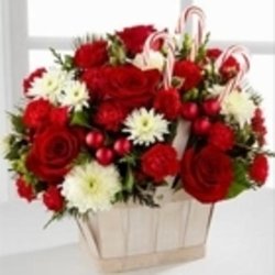 Flowers - Photo