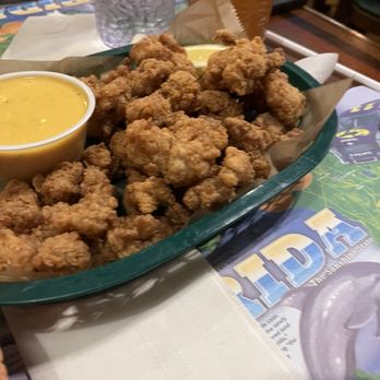Stumpknockers On the Square - Gator Nuggets - Seafood Near Me - Inverness, Florida Stumpknockers On the Square - Gator Nuggets - Seafood Near Me - Inverness, Florida