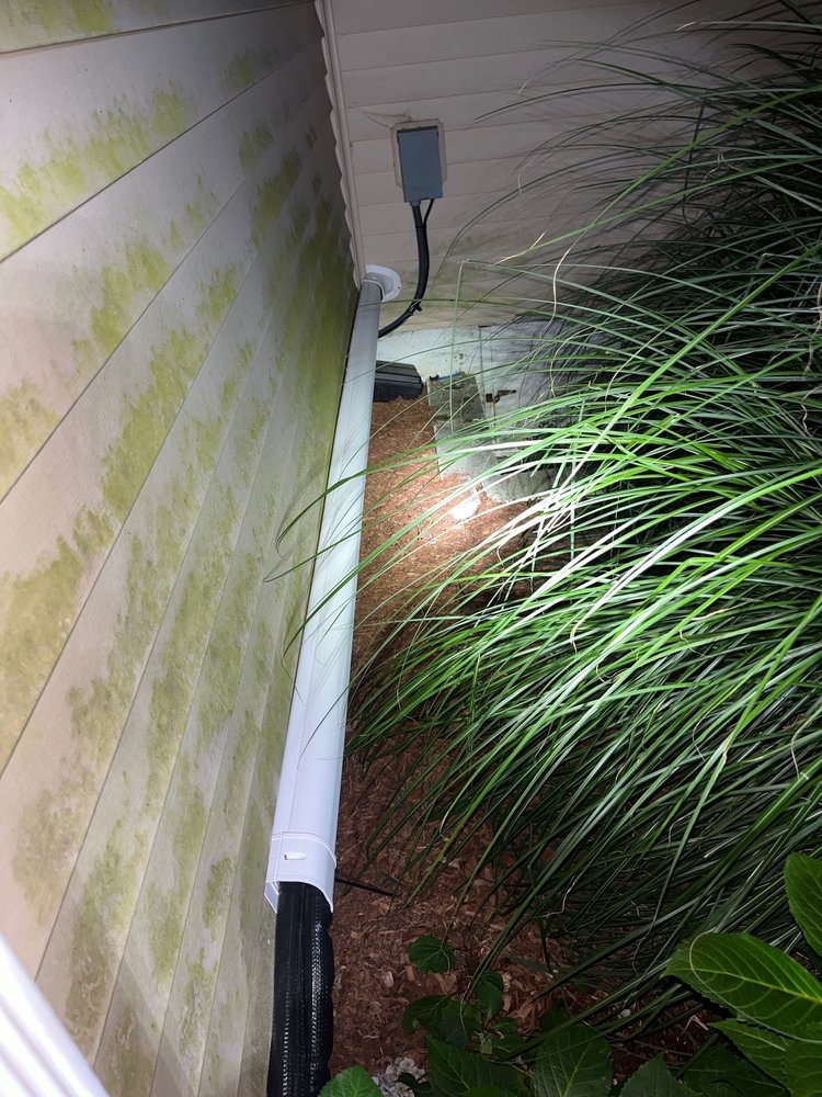 Slide of Wilson's Mechanical