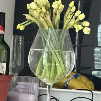 Snow Goose Produce - Flowers from the stand. - Fruits & Veggies Near Me - Mount Vernon, Washington Snow Goose Produce - Flowers from the stand. - Fruits & Veggies Near Me - Mount Vernon, Washington
