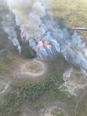 Big Cypress National Preserve by null
