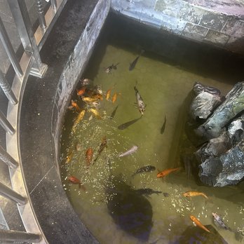 Buffet City - Fishes - Chinese Near Me - Brooksville, Florida Buffet City - Fishes - Chinese Near Me - Brooksville, Florida