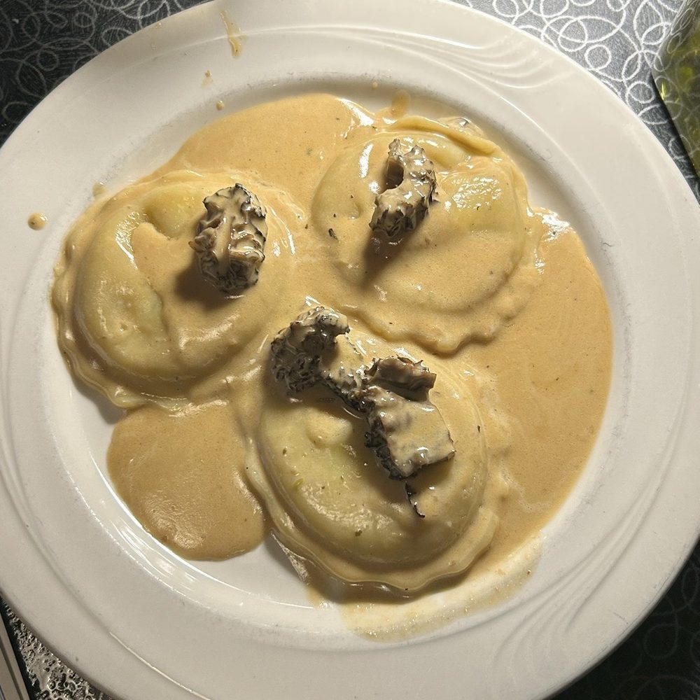 Terry's Place - Wild Mushroom Ravioli - American Near Me - Charlevoix, Michigan Terry's Place - Wild Mushroom Ravioli - American Near Me - Charlevoix, Michigan