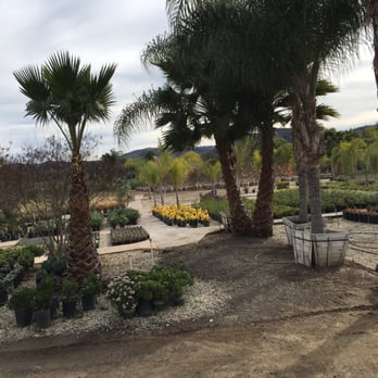 Sterling Gardens Nursery - Clean and organized. - Nurseries & Gardening Near Me - Simi Valley, California Sterling Gardens Nursery - Clean and organized. - Nurseries & Gardening Near Me - Simi Valley, California