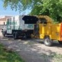 Photo of Ranyak Tree Service