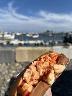 Rye Harbor Lobster Pound by null
