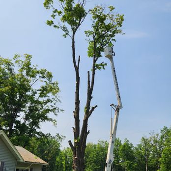 J & J Tree Services - Tree Services Near Me - Herkimer, New York J & J Tree Services - Tree Services Near Me - Herkimer, New York