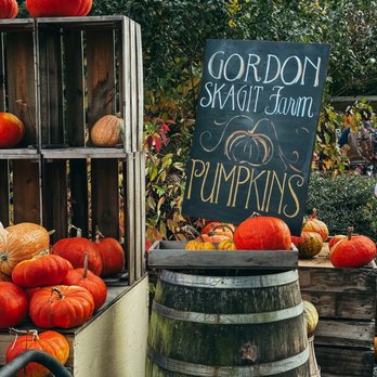 Gordon Skagit Farms - Fruits & Veggies Near Me - Mount Vernon, Washington Gordon Skagit Farms - Fruits & Veggies Near Me - Mount Vernon, Washington