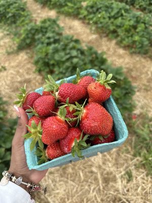 Westview Orchards & Winery by null