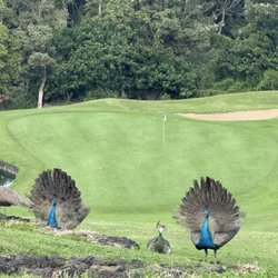 Makalei Golf Club - Try and hit with this going on