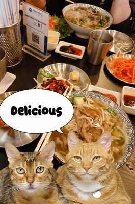 Pho Gyu Vietnamese Noodle House by null