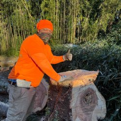 L&B Tree and Landscaping Services