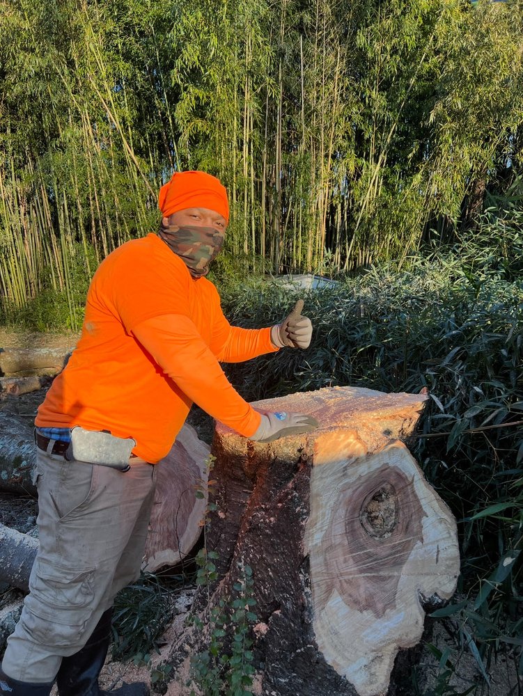 L&B Tree and Landscaping Services - veterans service organization in Stanardsville, VA