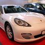 Loudoun County Exotics