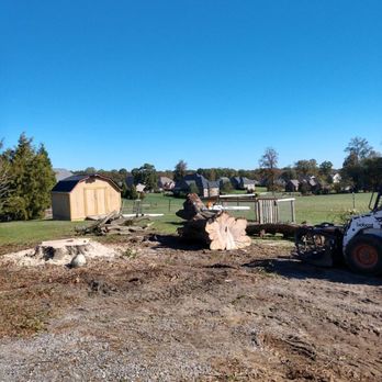 Curtis Tree Service - . - Tree Services Near Me - Kernersville, North Carolina Curtis Tree Service - . - Tree Services Near Me - Kernersville, North Carolina